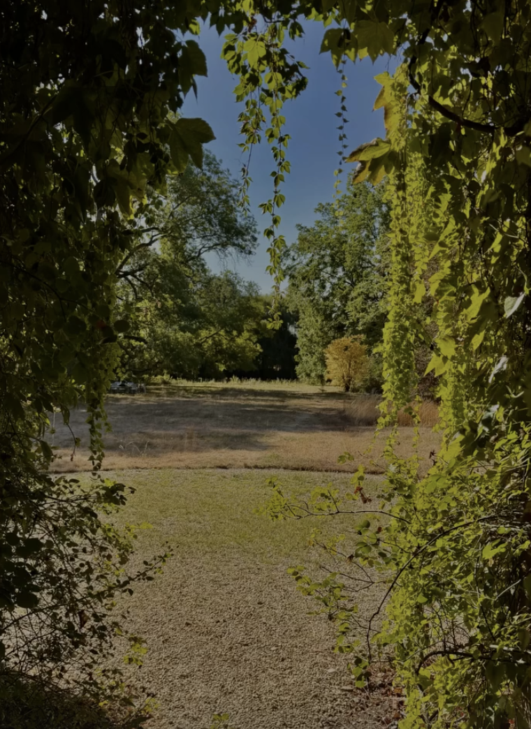 L’allée de gravier vue à travers la treille, vers la prairie