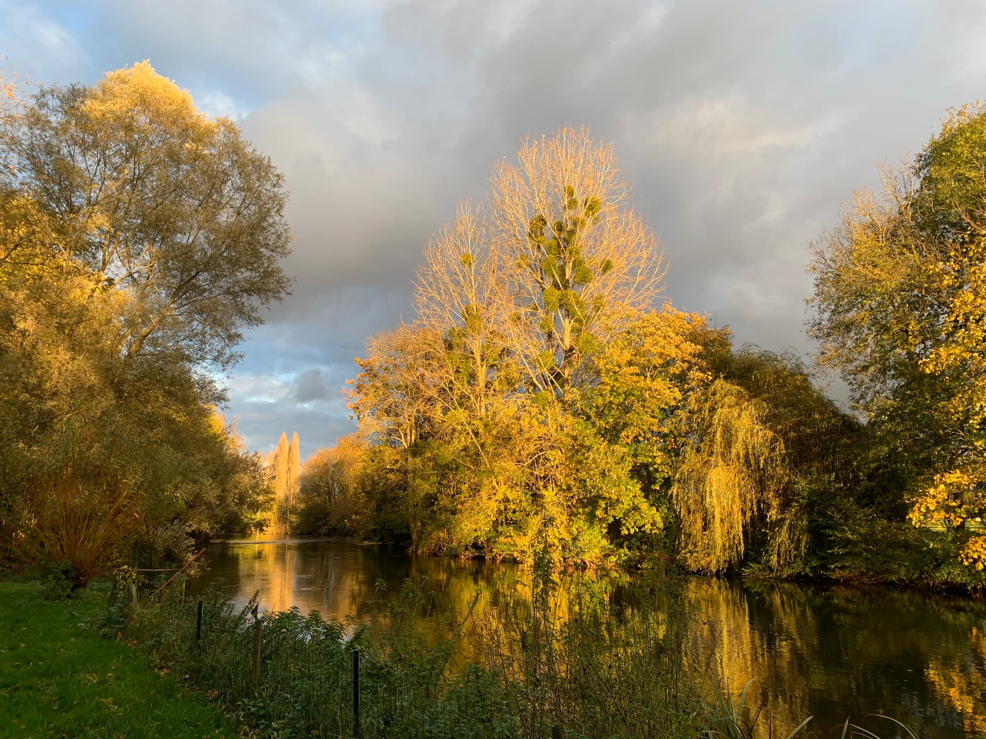 Le Loing en automne
