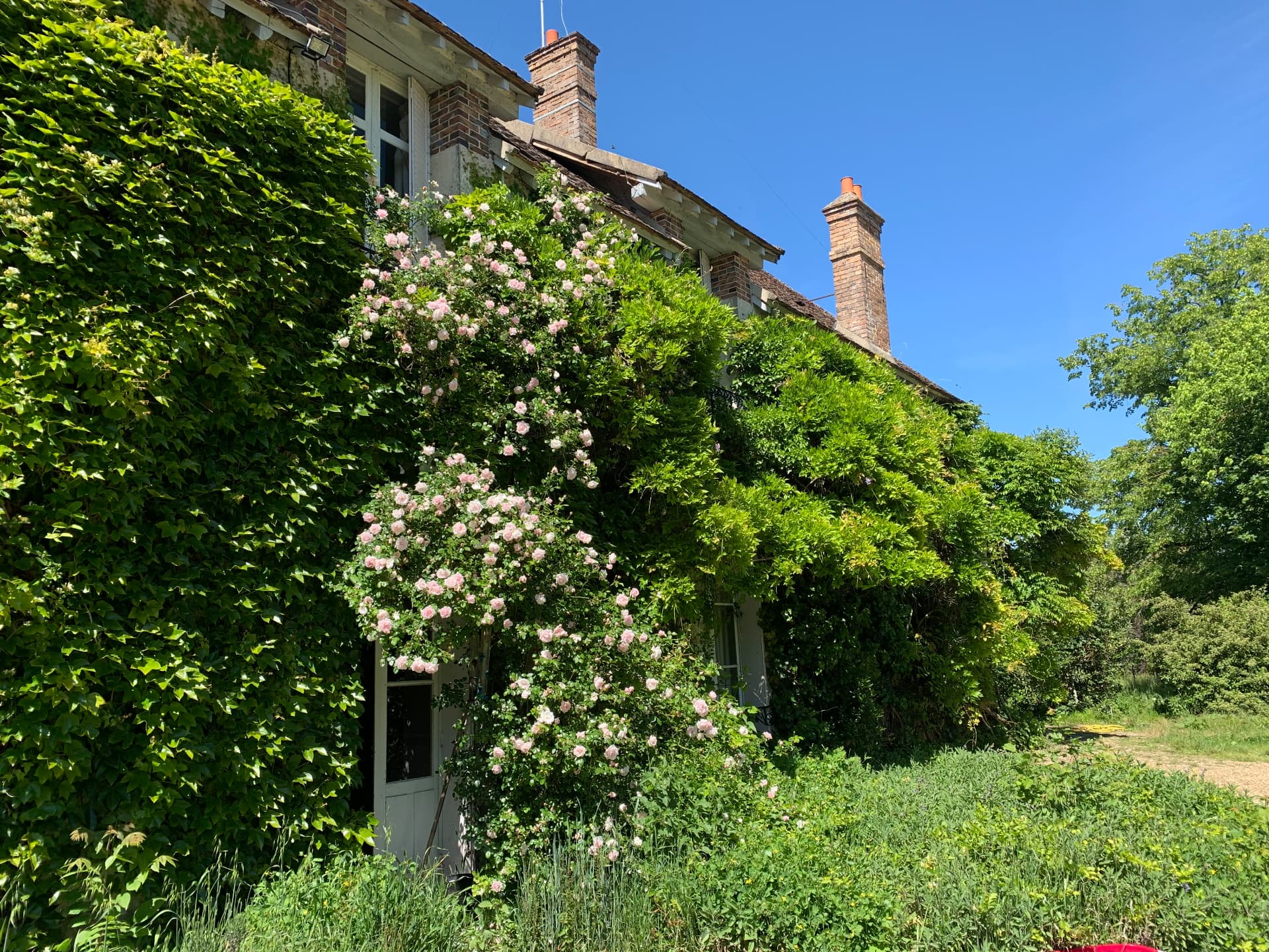 La façade sous les rosiers en fleurs